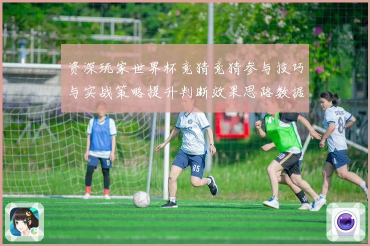 资深玩家世界杯竞猜竞猜参与技巧与实战策略提升判断效果思路数据研判