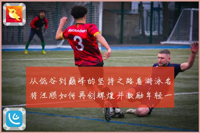 从低谷到巅峰的坚持之路看游泳名将汪顺如何再创辉煌并激励年轻一代追逐梦想