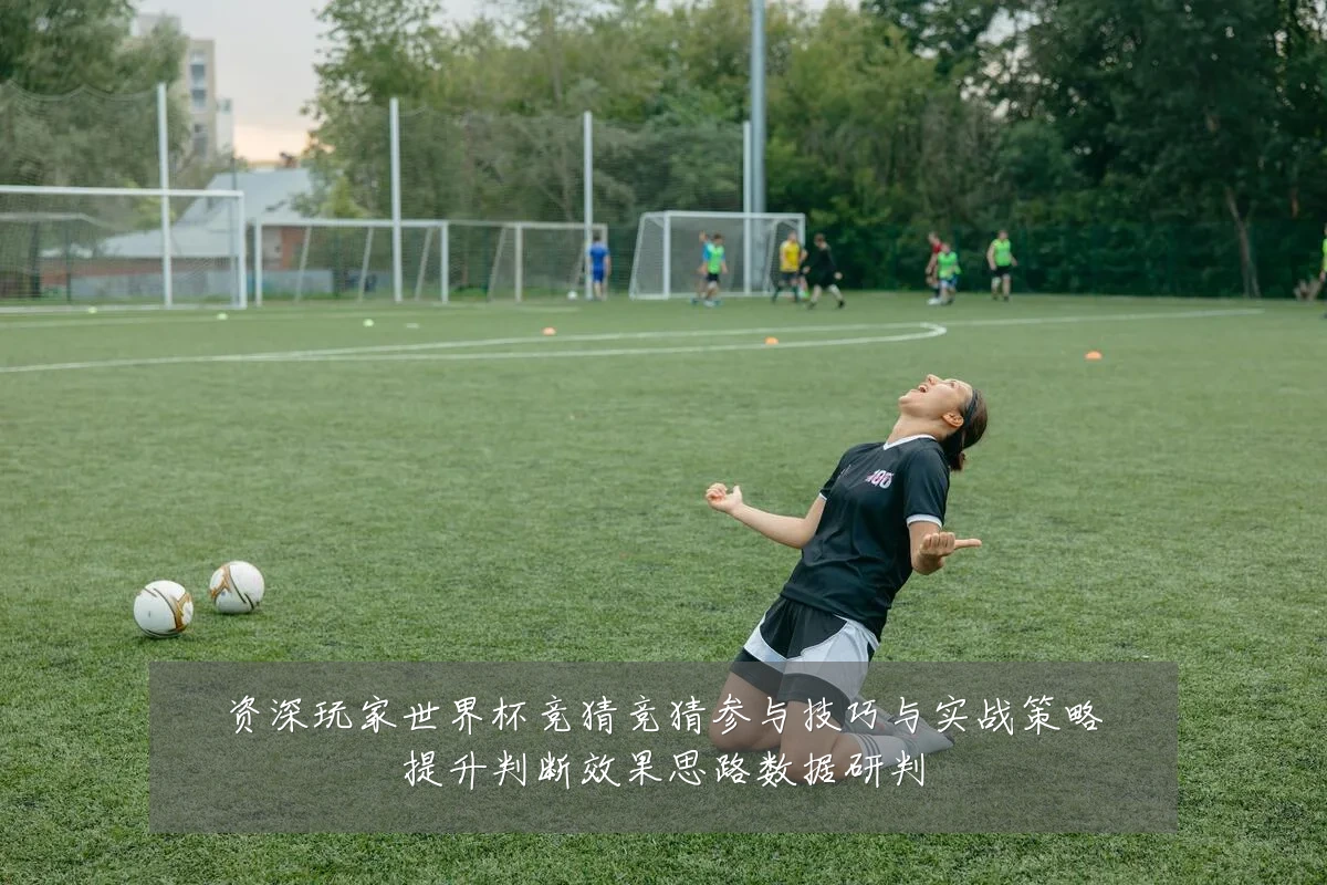 资深玩家世界杯竞猜竞猜参与技巧与实战策略提升判断效果思路数据研判